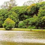 Trabalha e mora em Alphaville ? Conheça a Ilha do Tamboré